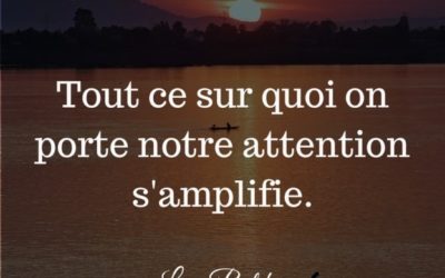 [SUR QUOI PORTES TU TON ATTENTION ?]
 Je me rappel…