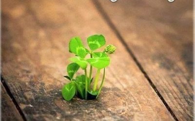 [IL Y A TOUJOURS UN CHEMIN]
 Il arrive parfois qu&…