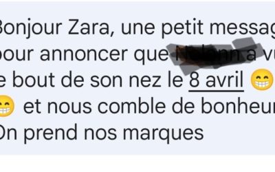 Quand je reçois ce message de bon matin