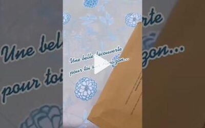 Réception Livre Rev&rsquo;elle toi sur Tik Tok