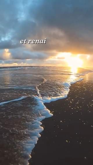 Libère-toi des ténèbres pour t&rsquo;épanouir pleinement. Sors de l&rsquo;ombre, guéris et …