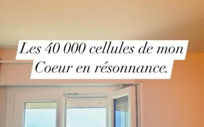 – Tout passe par le Coeur 
– Non mais le Coeur n&rsquo;est qu&rsquo;un organe qui n&rsquo;a aucune…